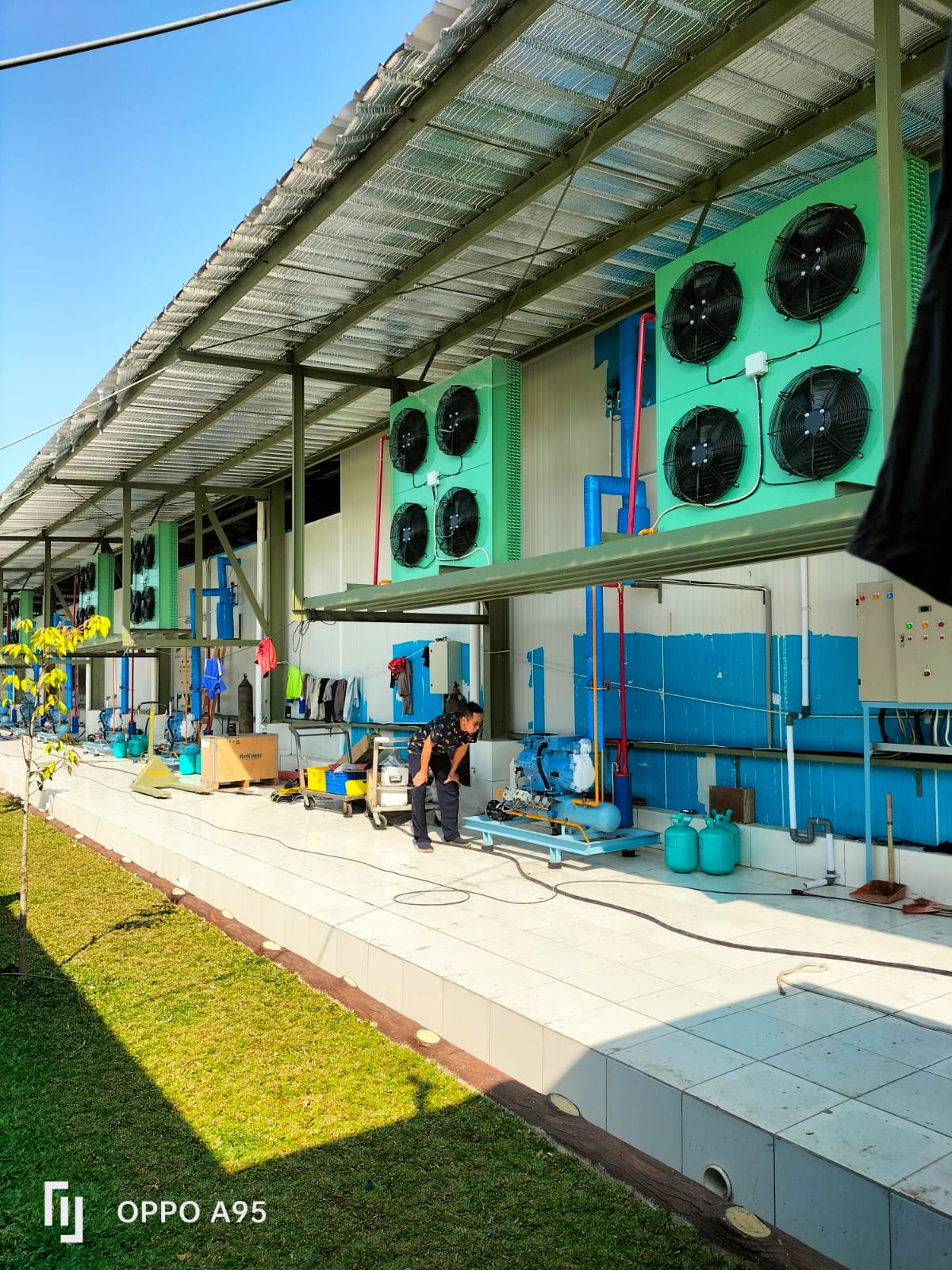 Cold Storage 1000 Ton